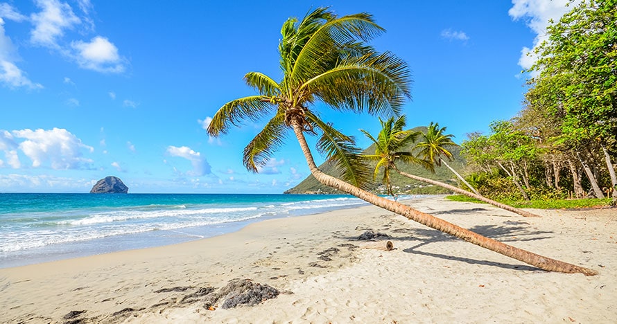Quand partir en vacances en Martinique ?
