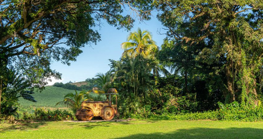 Villa luxe Martinique Bed & Rum du Limbé