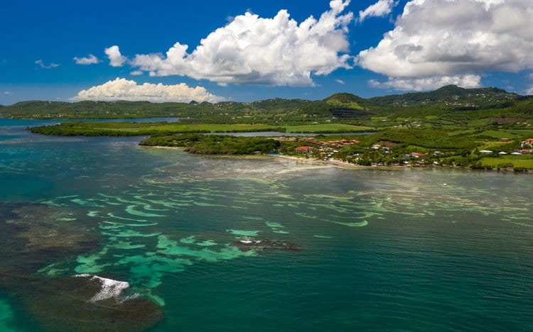 Pourquoi choisir Le Vauclin en Martinique comme destination